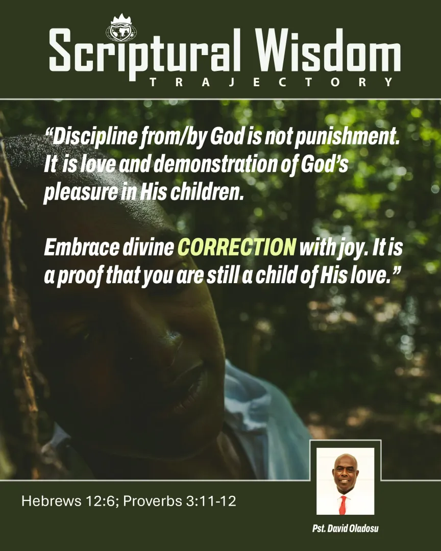 Day 81 - Hebrews 12:6; Proverbs 3:11-12